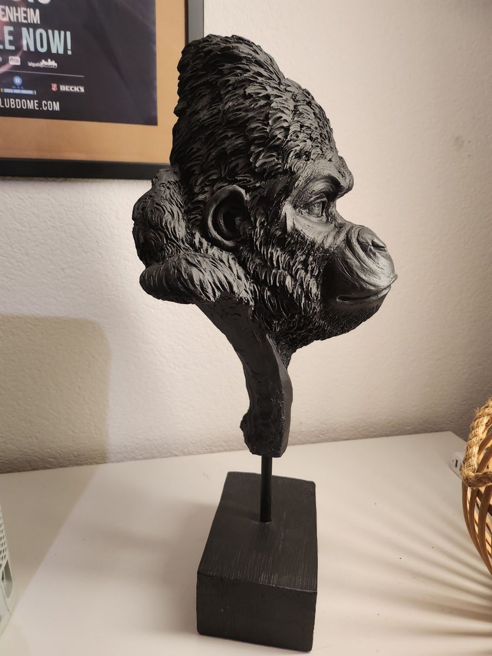 Sculture & Statue: Gorilla Affen Kopf Statue – Usato da Niederurnen venduto da Ghost.recon 2