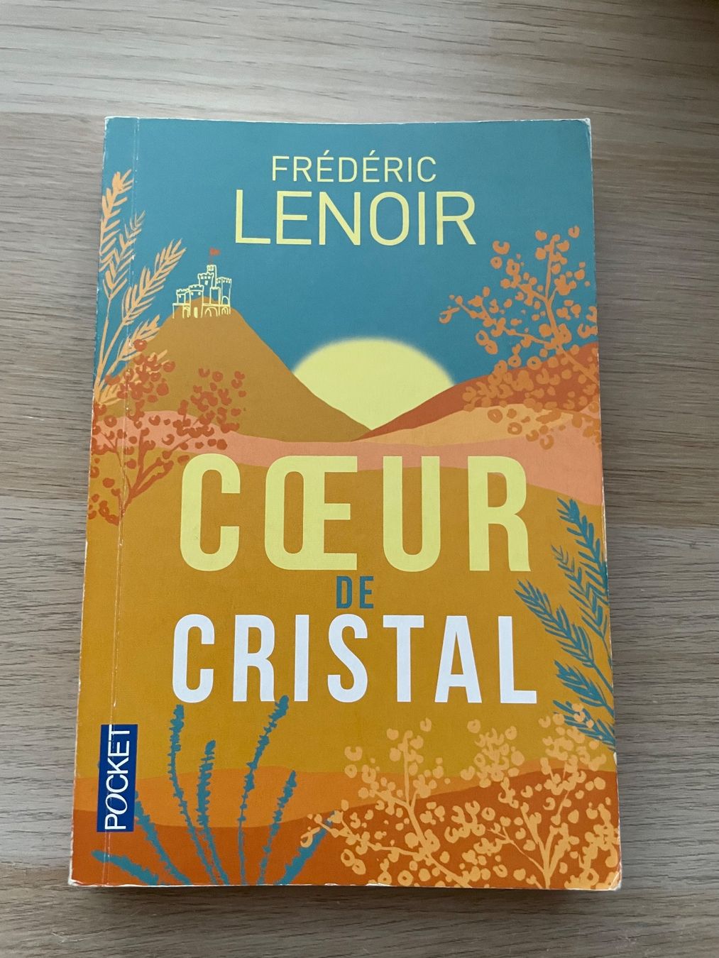 Livres: Cœur de Cristal – Neuf (Voir description) à Eschenbach SG par someonecake