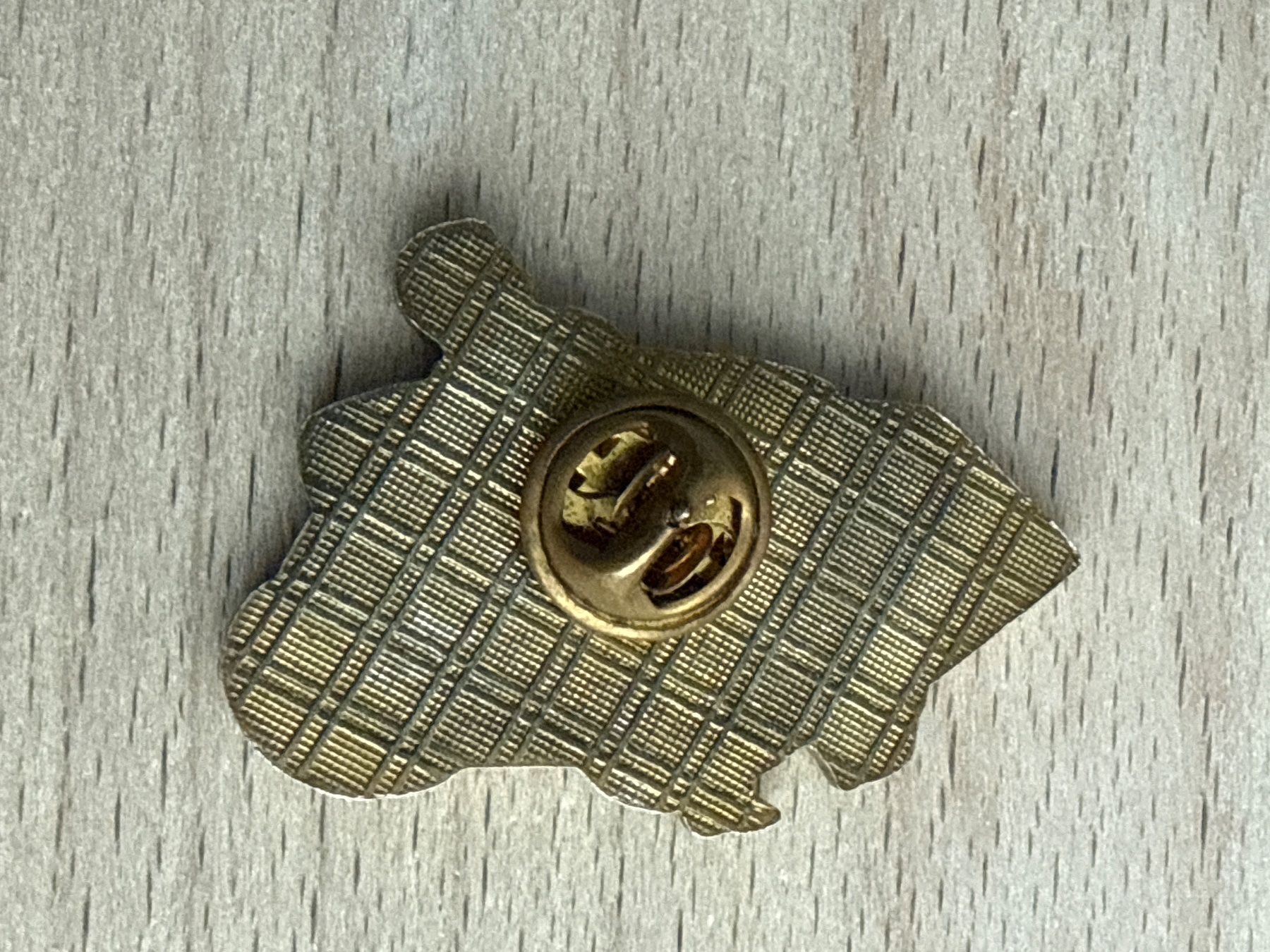 Plaketten & Abzeichen: Pin ZOO – Gebraucht aus Glattbrugg von Schweigmatt 1