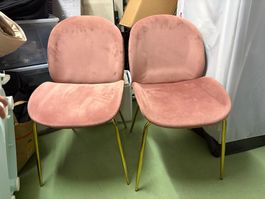 2 Samtstühle Rosa Metallbeine