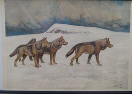 Schulwandbild „Wolf – Wolfsrudel“ nach Nils Tirén