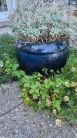 Blumentopf Keramik dunkelblau