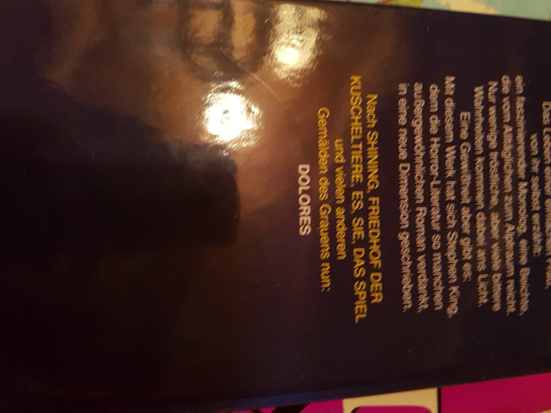 Libri: Stephen King Dolores k44 – Nuovo (secondo la descrizione) da Schwarzenburg venduto da Flamingo07 1
