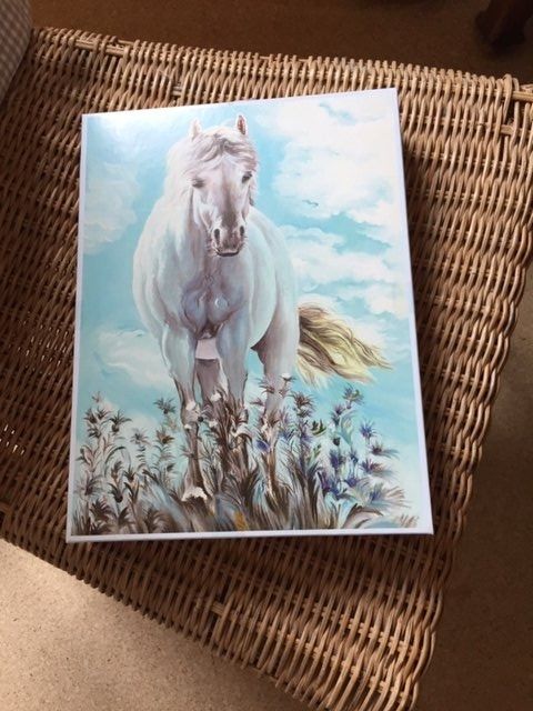 Puzzle: Puzzle Pferd 1000 Teile – Usato da Eschenbach SG venduto da Joey-Li