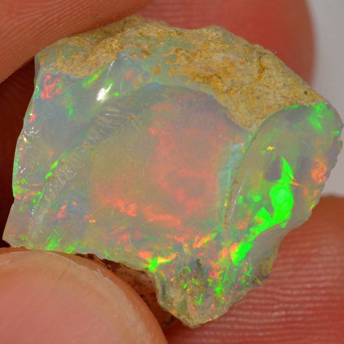 Pierres précieuses: 19.2 Karat - Roher Äthiopischer Welo Opal – Neuf (Voir description) à Rüti ZH par DeinOpal 3