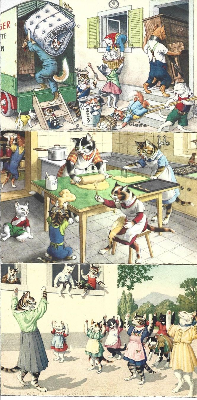 Cartoline postali: AK  Humor  Katzen  4x – Usato da Appenzell venduto da mai25