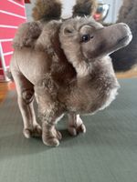 Zwei Plüsch Kamele Stofftiere gebraucht mit Gebrauchsspur