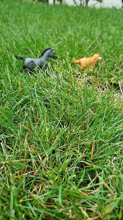 Figuren: Poulain Schleich  – Gebraucht aus St-Sulpice VD von rog_c28g