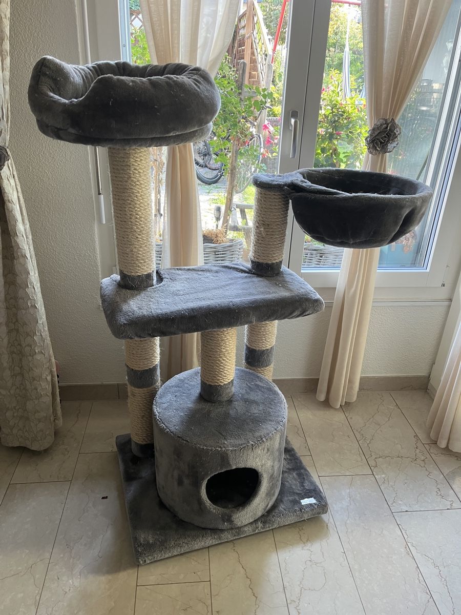 katzenstreu kompost Katzenstreu 