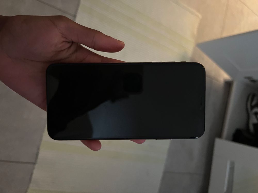 iPhone XS Pro Max (Gebraucht) in Fribourg für CHF 200 – nur Abholung ...