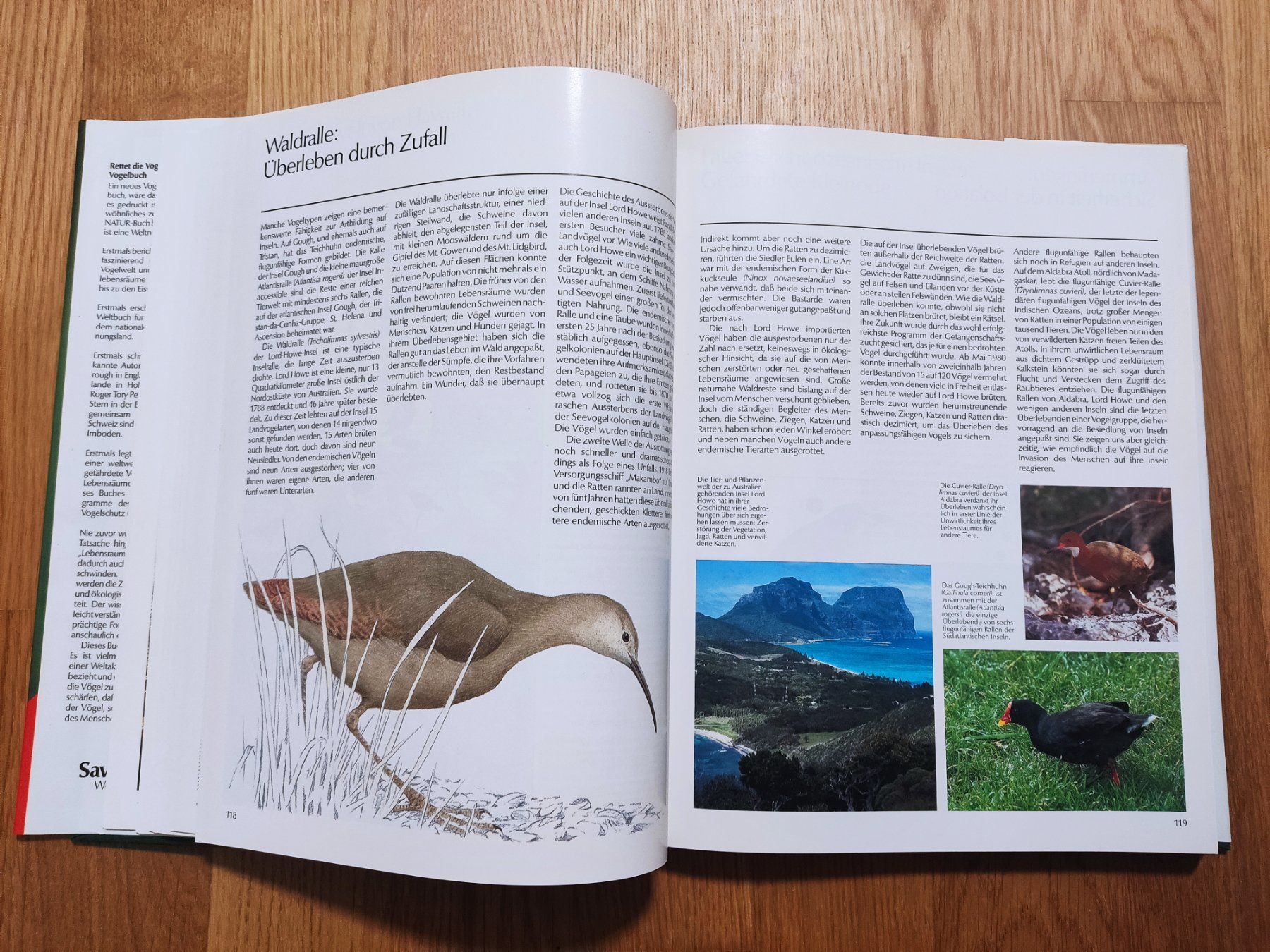 Bücher: Rettet die Vogelwelt - Schweizer Ausgabe – Gebraucht aus Buchs AG von patiburgener 6