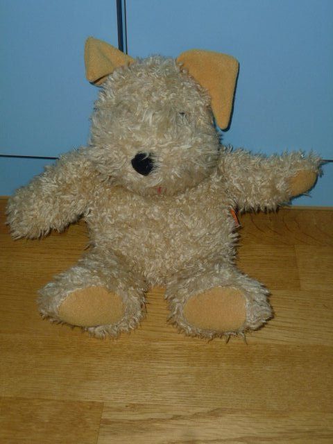 Giocattoli: Teddybär – Usato da Sarnen venduto da Ver01dg