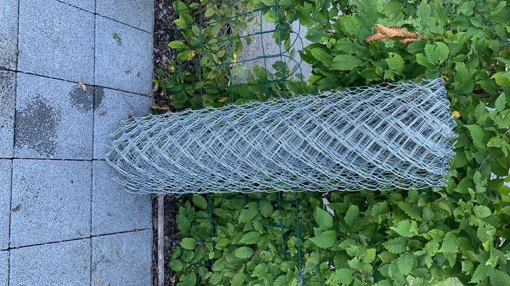 Drahtgeflecht zaun Kaufen auf Ricardo