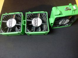 Supermicro Server Lüfter Sanyo Denki San Ace 80; 9G0812P1F03