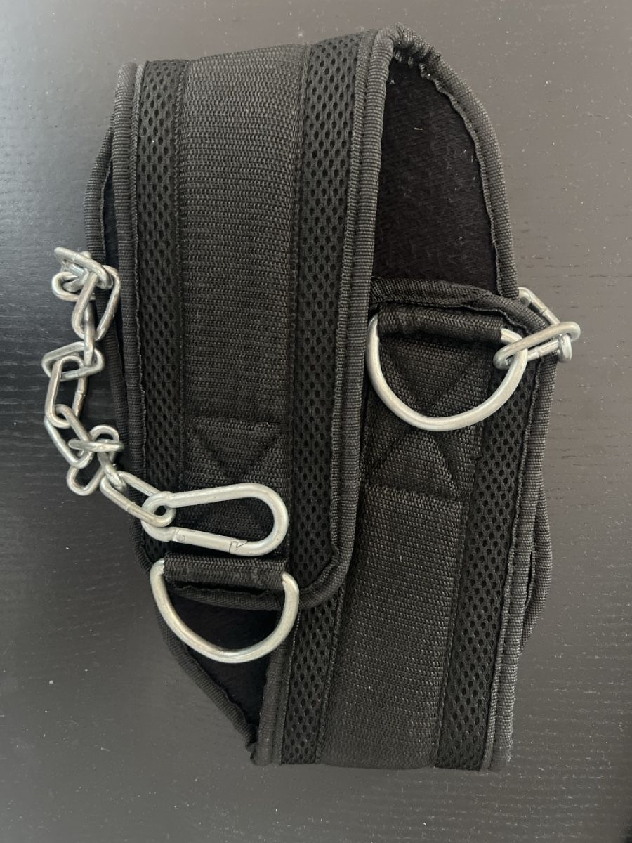 Hometrainer: Klimmzuggürtel – Usato da Bern venduto da fed_6c72 1