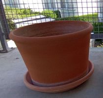 Blumentopf