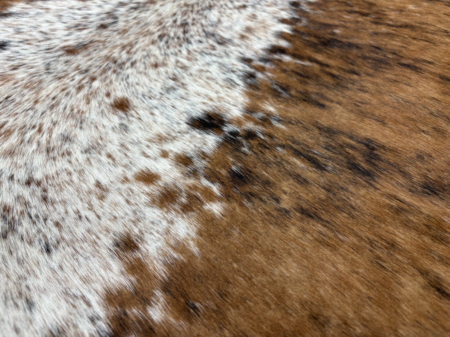 Tapis: echtes Kuhfell Teppich – Neuf avec emballage d'origine à Arbedo par patagonialeatherrugs 3