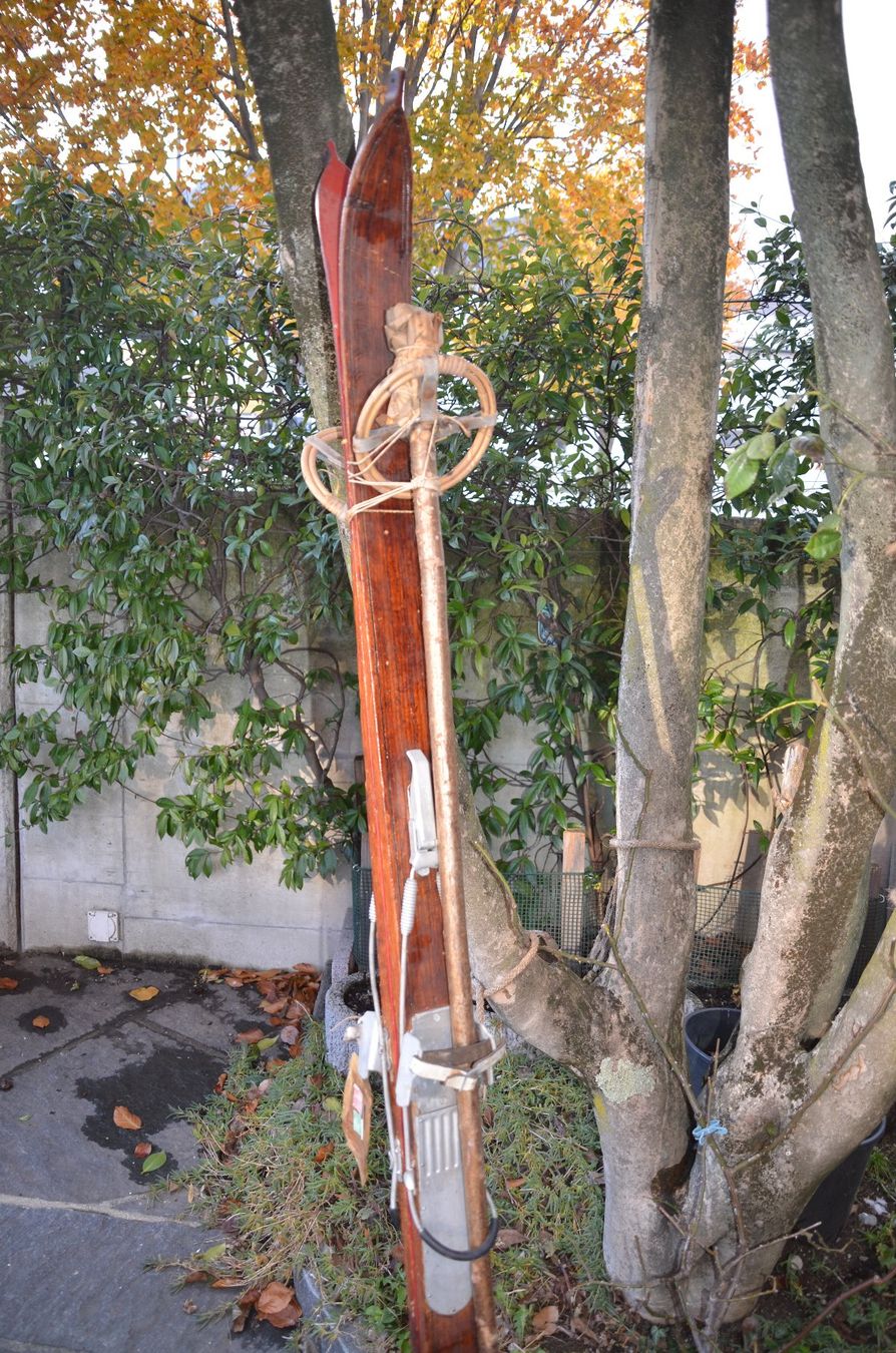 Skis: Oldtimer Ski – Gebraucht aus Losone von delfino_2
