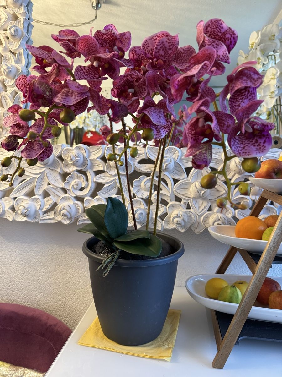 Tutte le decorazioni: Künstliche Orchideen lilac New – Nuovo (secondo la descrizione) da Zürich venduto da Privat4444