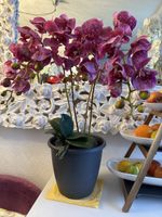 Künstliche Orchideen lilac New