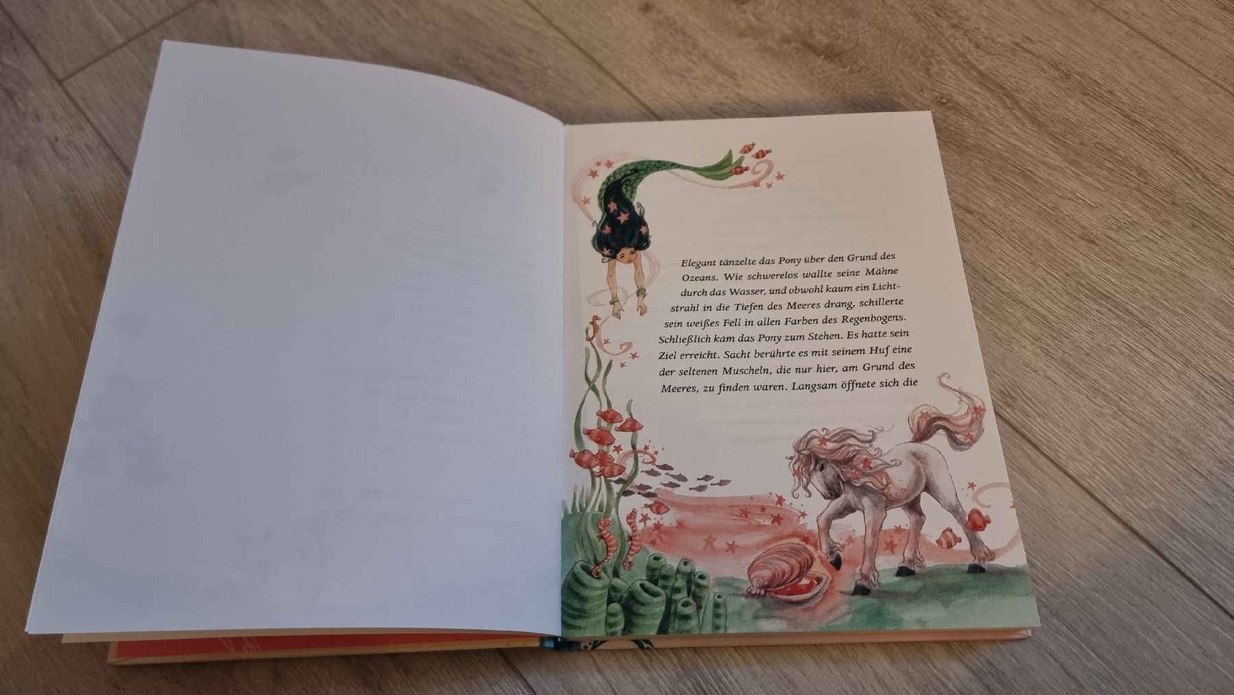 Libri: Silberperle - Ein magisches Pony – Usato da Wigoltingen venduto da Zuckerfee84 1