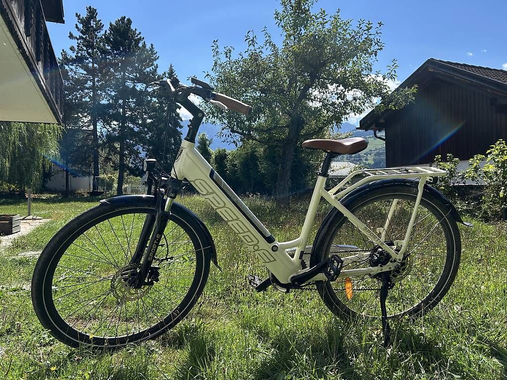 Biciclette: Speed-E E Bike – Usato da Rodels venduto da Schmaetti12