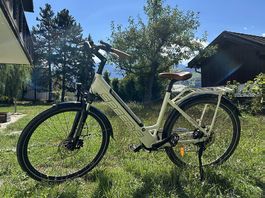 Speed-E E Bike