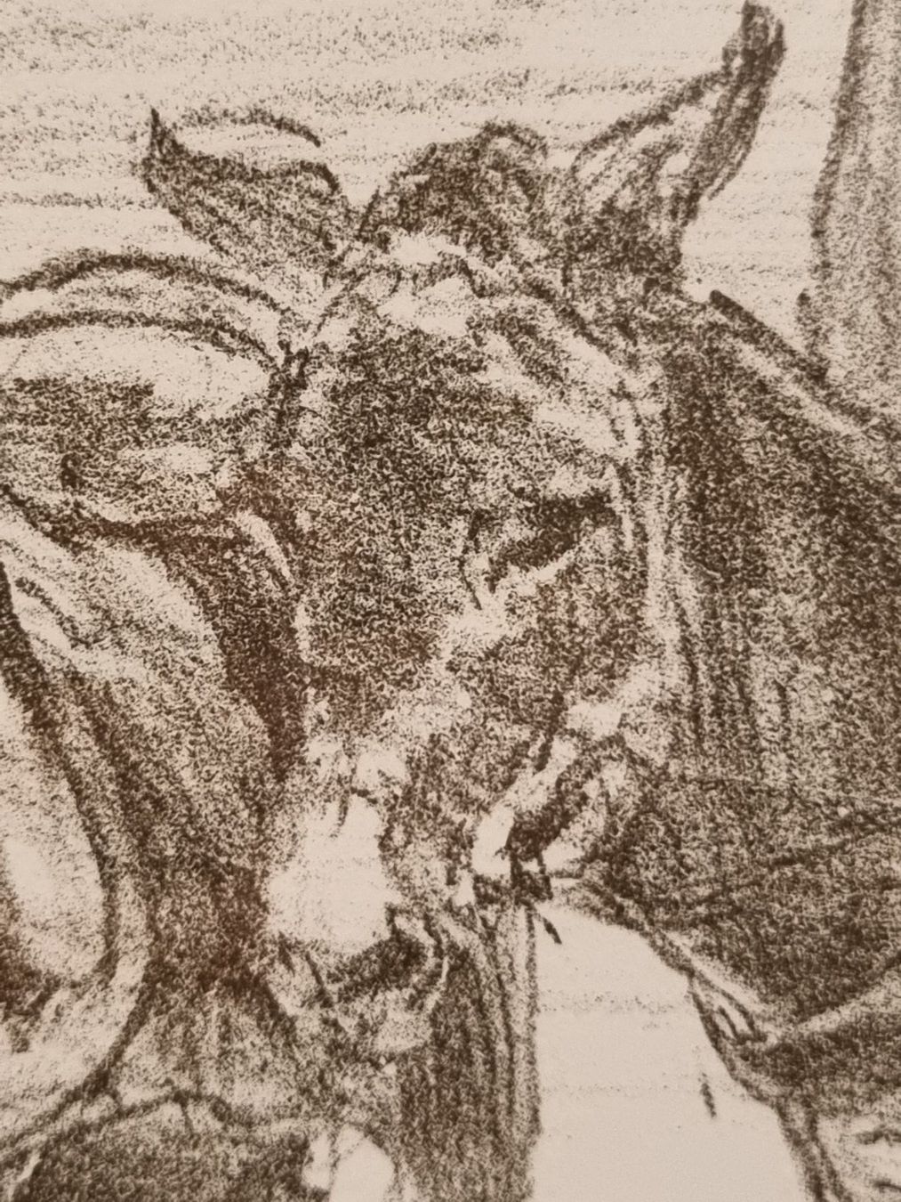 Grafica & Litografie: Signierte Grafik, Junge mit Esel, gerahmt – Usato da Scharnachtal venduto da devin03 6