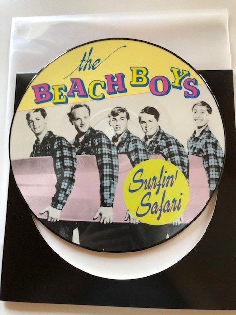 Dischi in vinile: Beach Boys – Usato da Aarwangen venduto da Jukebox3 1