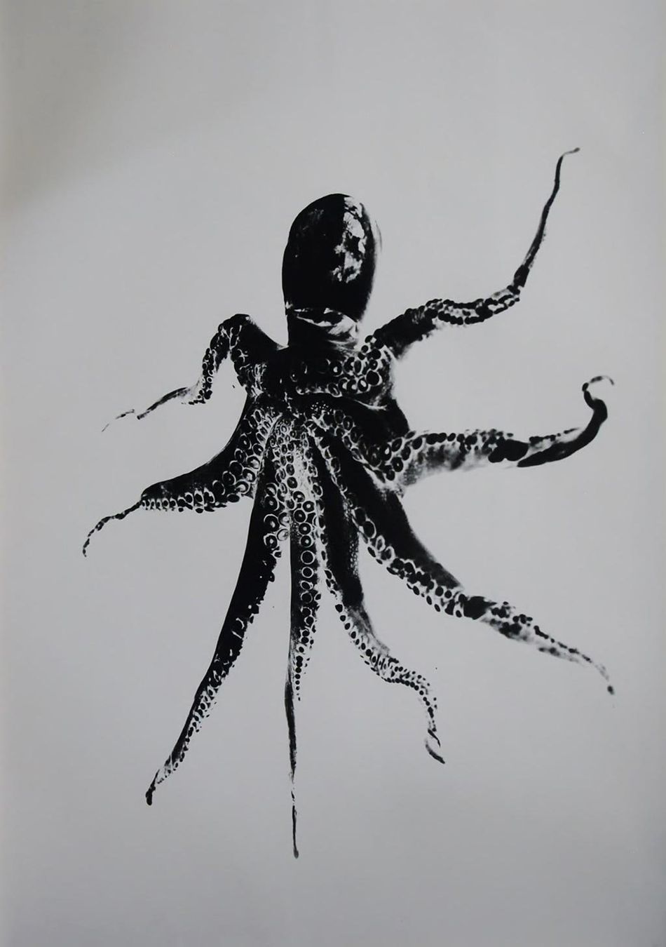 Foto & Immagini: Kunsthalle Basel, Barateiro Pedro – Nuovo (secondo la descrizione) da Bern venduto da Vintage-Art-Poster 1