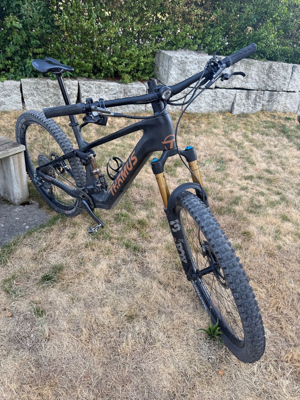 Thömus Vélos: Thömus Lightrider E Ultimate Gr. L – D'occasion à Richigen par Familieummel 3