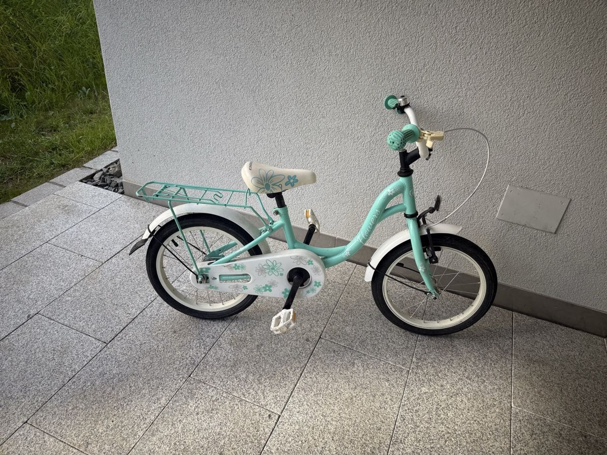 Biciclette: Kinder Velo ab 4 Jahre – Usato da Rotkreuz venduto da 74max