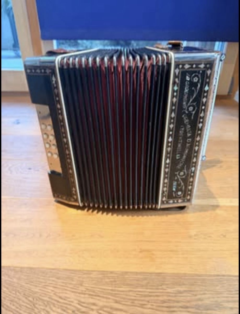 Strumenti musicali: Akkordeon Antik – Usato da Reichenbach i. K. venduto da muntschi01 5