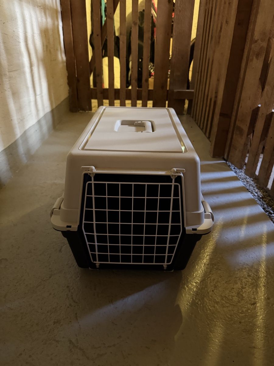 Gabbie, trasporto & Sicurezza: Transportbox Katze Kunststoff / gut erhalten – Usato da Meilen venduto da ine_s9tf 2