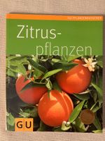 Zitruspflanzen, Pflanzenratgeber