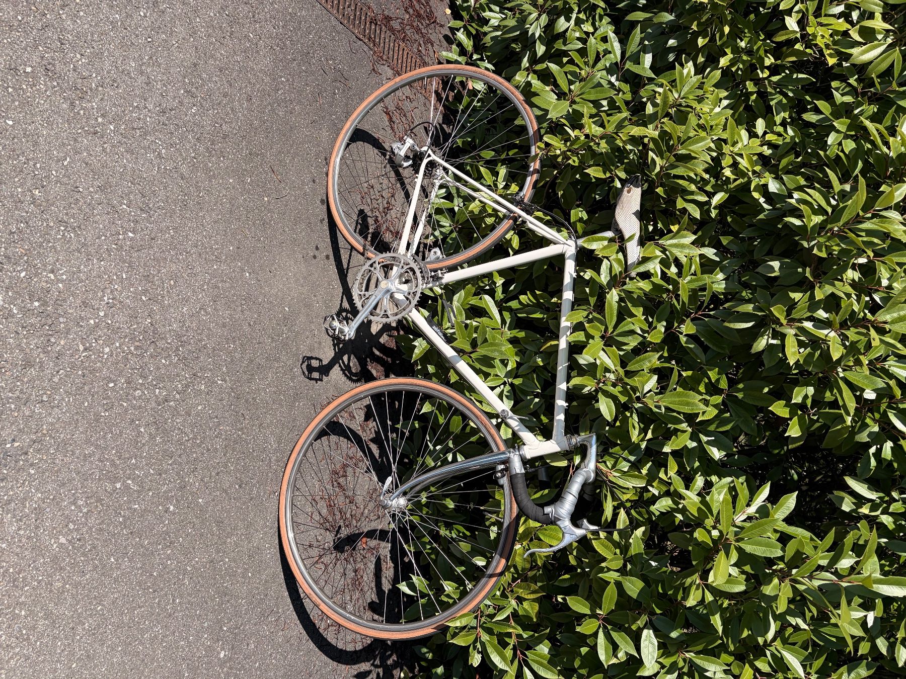 Biciclette: Rennvelo retro – Usato da Kreuzlingen venduto da Cyberxxx