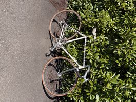 Rennvelo retro