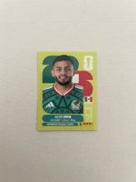 Panini MEX 18