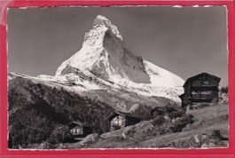 WINKELMATTEN MIT MATTERHORN, 1.8.1950