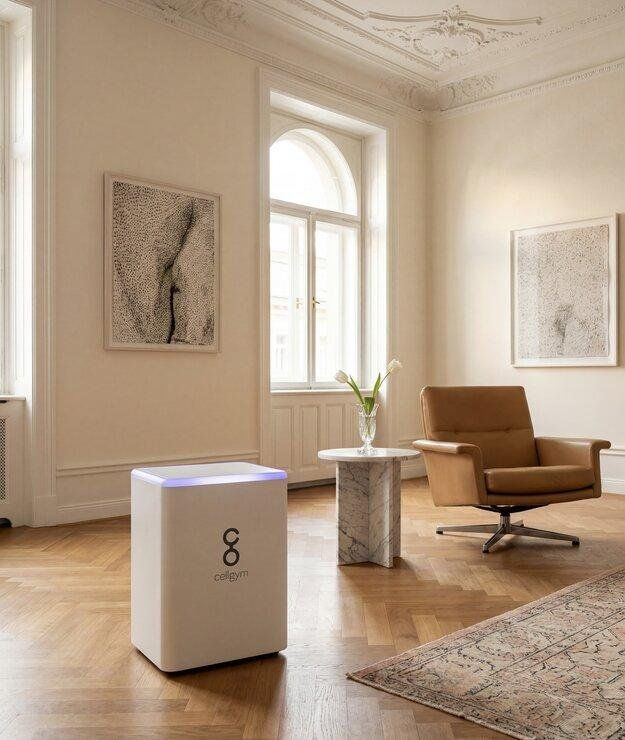 Attrezzature mediche: Cellair Home IHHT Gerät – Usato da Flums venduto da Martin52