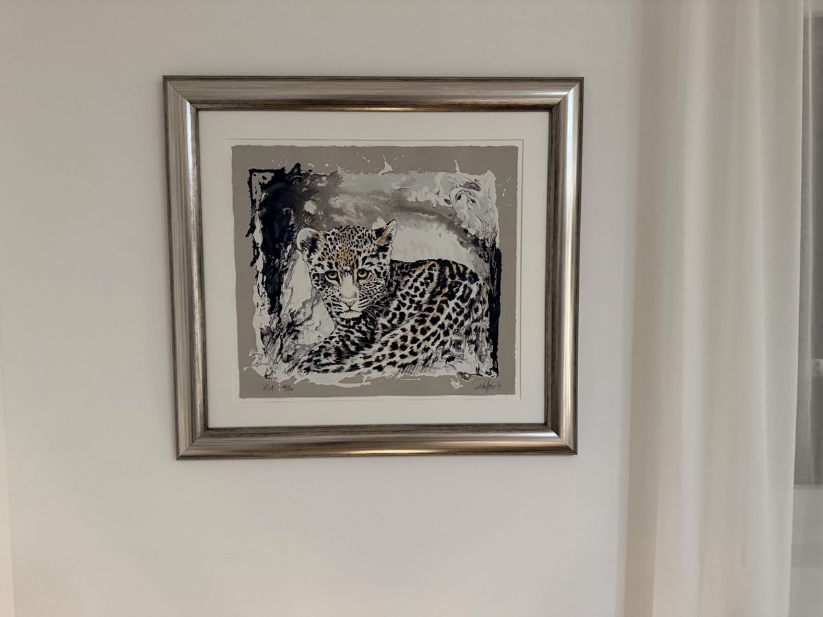 Grafica & Litografie: Rolf Knie Lithographie Tigerbaby – Usato da Kölliken venduto da Gentle