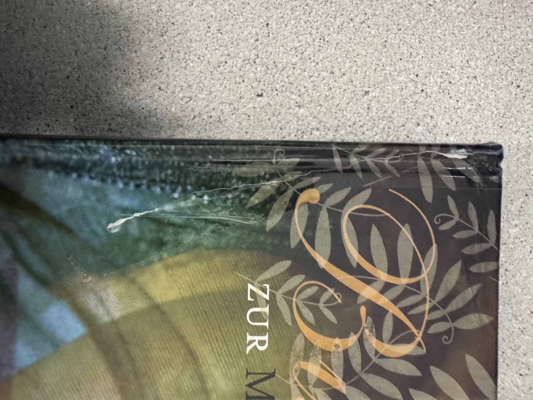 Libri: Stephenie Meyer "Bis(s) zur Mittagsstunde" – Usato da Winterthur venduto da tam_7tbh 1