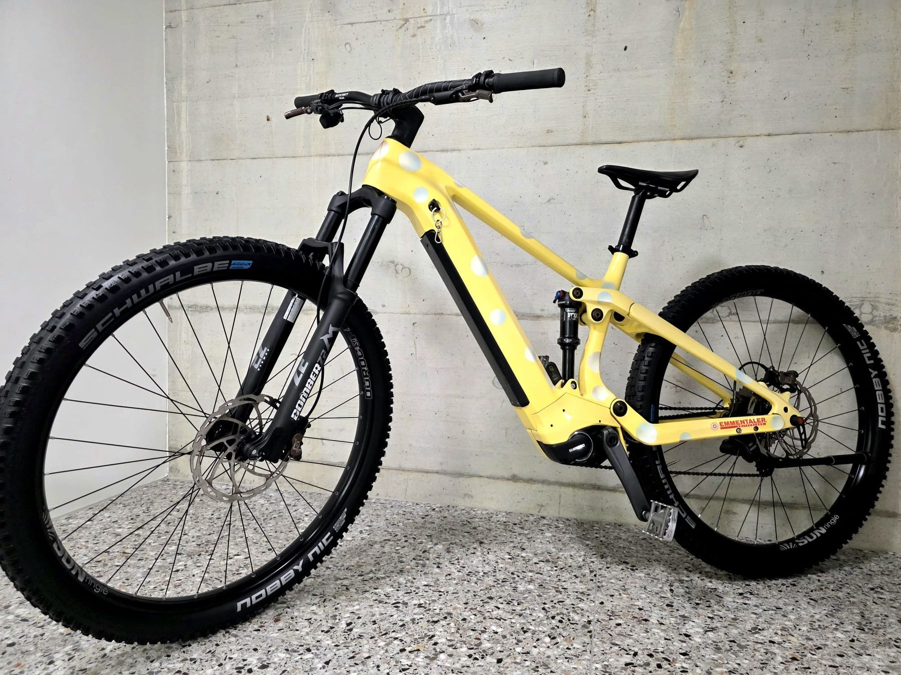 Thömus Biciclette: Thömus Lightrider E2 Custom EBike neuwertig – Usato da Hägendorf venduto da lua_f96g
