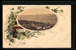 Litho Winterthur, Panorama aus der Vogel