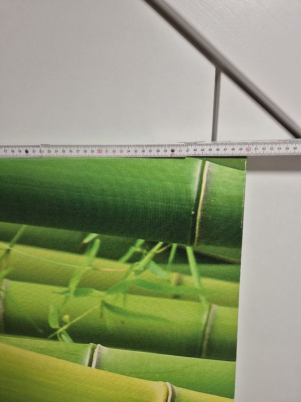 Foto & Immagini: Bild Bambusmotiv 50 x 150cm – Usato da Krauchthal venduto da SamsPuce 2