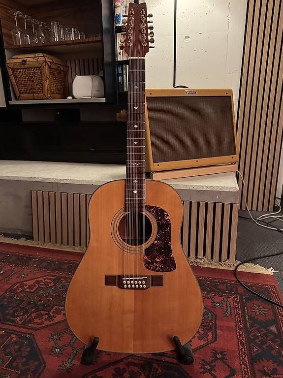 Strumenti musicali: 12-string semiakustik Gitarre Washburn – Usato da DomatEms venduto da Zagor72 1