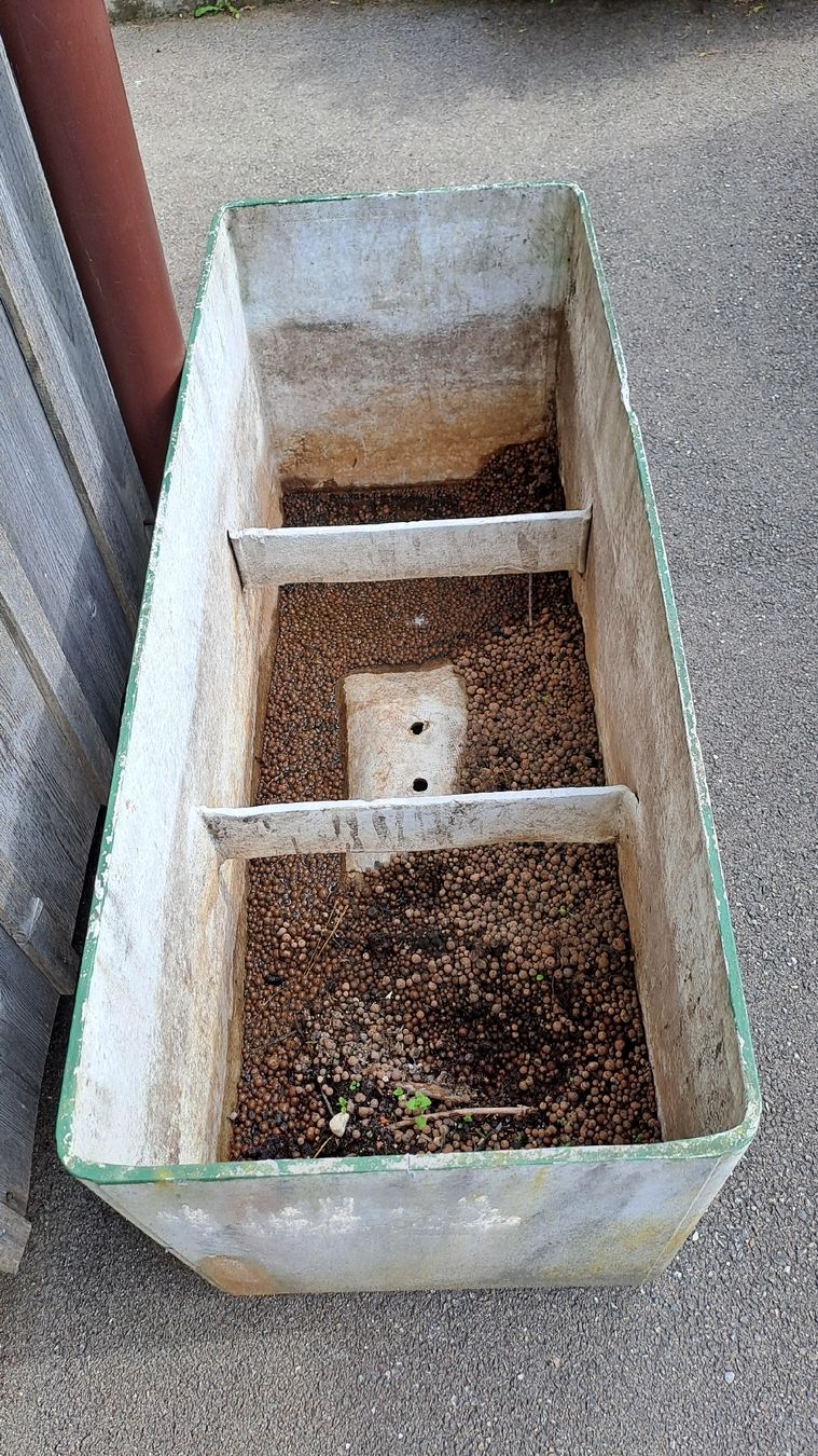 Altre Decorazioni per giardino: Bac de jardin pour plantes – Usato da Bressaucourt venduto da Djenaille 1