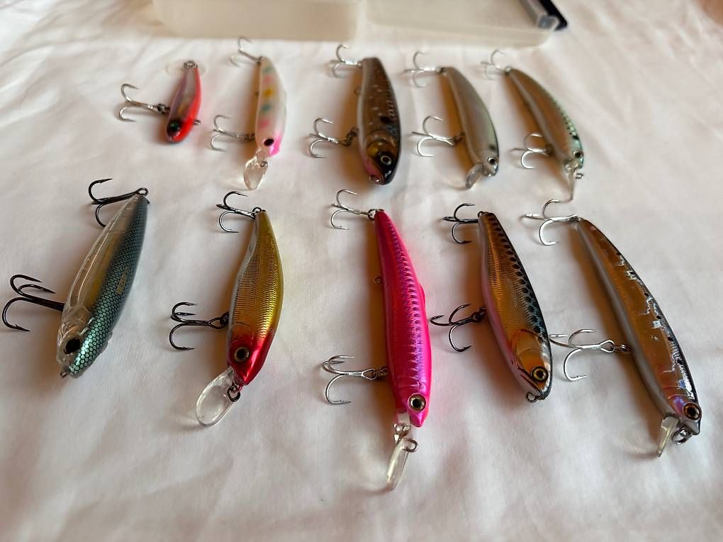 Esche: Profi-Wobbler-Set: 10 Hardbaits inkl. Köderbox – Usato da Herrliberg venduto da axelvb 2