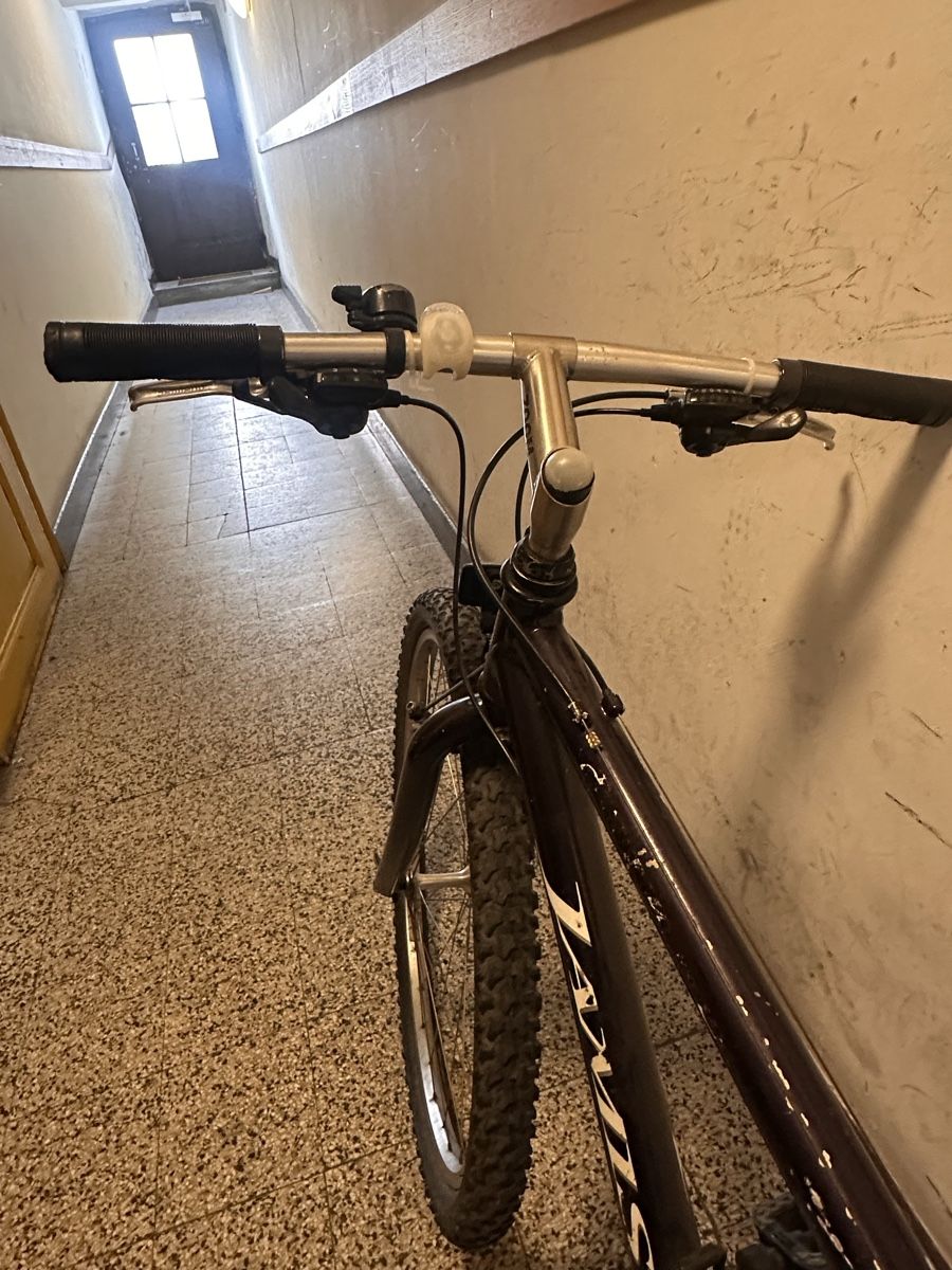 Biciclette: Mountain Bike purple Good Condition – Usato da Zürich venduto da OldtownShop 2