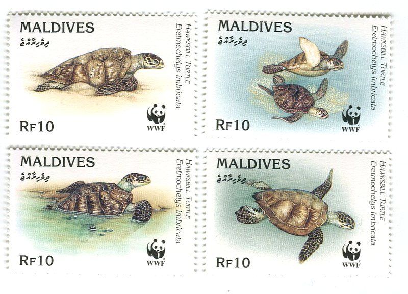 Alle Briefmarken: Briefmarken "Schildkröten". Malediven – Neu und originalverpackt aus Basel von Butsch5